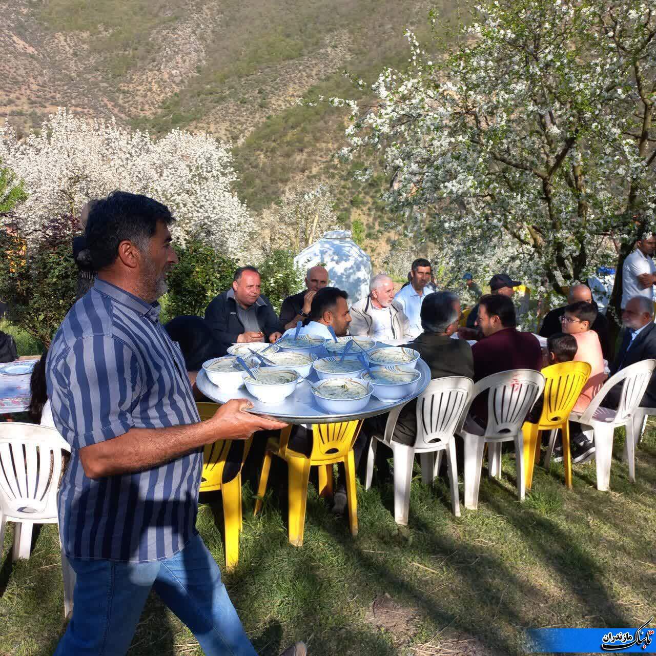 برگزاری جشنواره شکوفه های گیلاس در شهرستان نوشهر