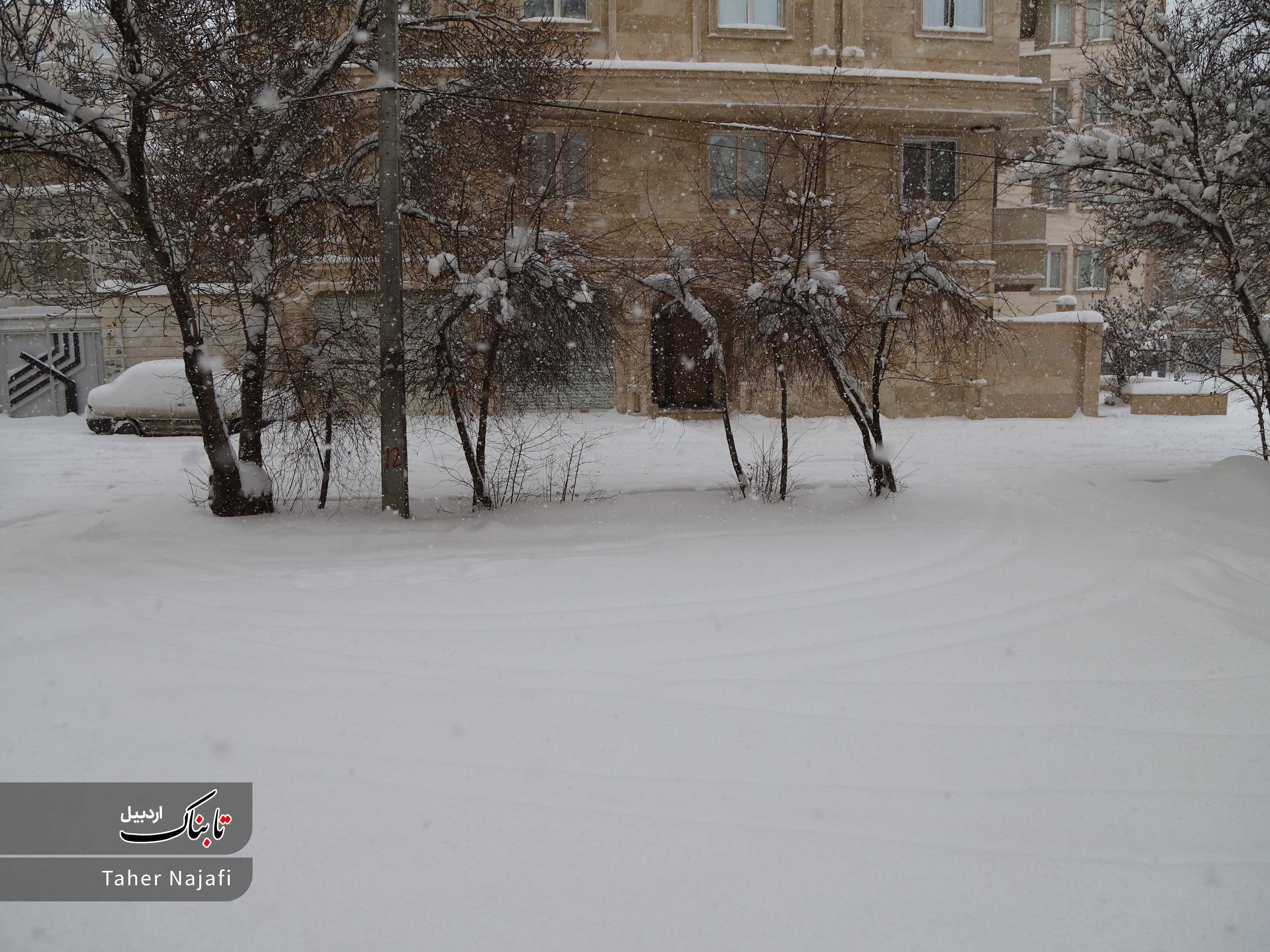 پالتو سفید بر تن شهر اردبیل