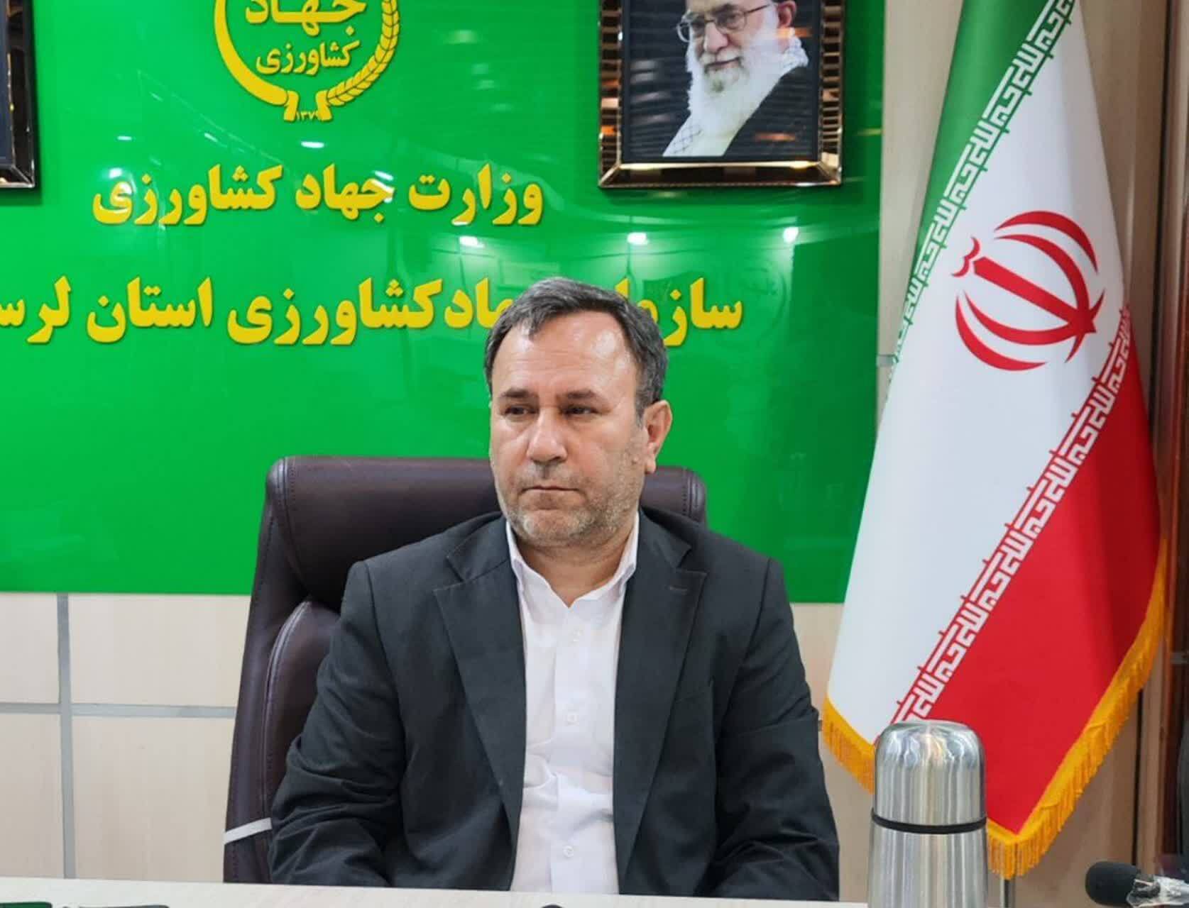 خرمای ماه رمضان در لرستان ۱۵ درصد ارزان‌تر عرضه می‌شود