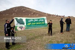 تهیه و توزیع ۳۰۰ هزار اصله نهال در راستای پویش ایرانی سرسبز در یزد