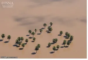 100 هکتار از نخیلات خرمشهر زیر آب‌‌اند