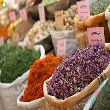 برداشت گیاهان دارویی درمزرعه پدیده